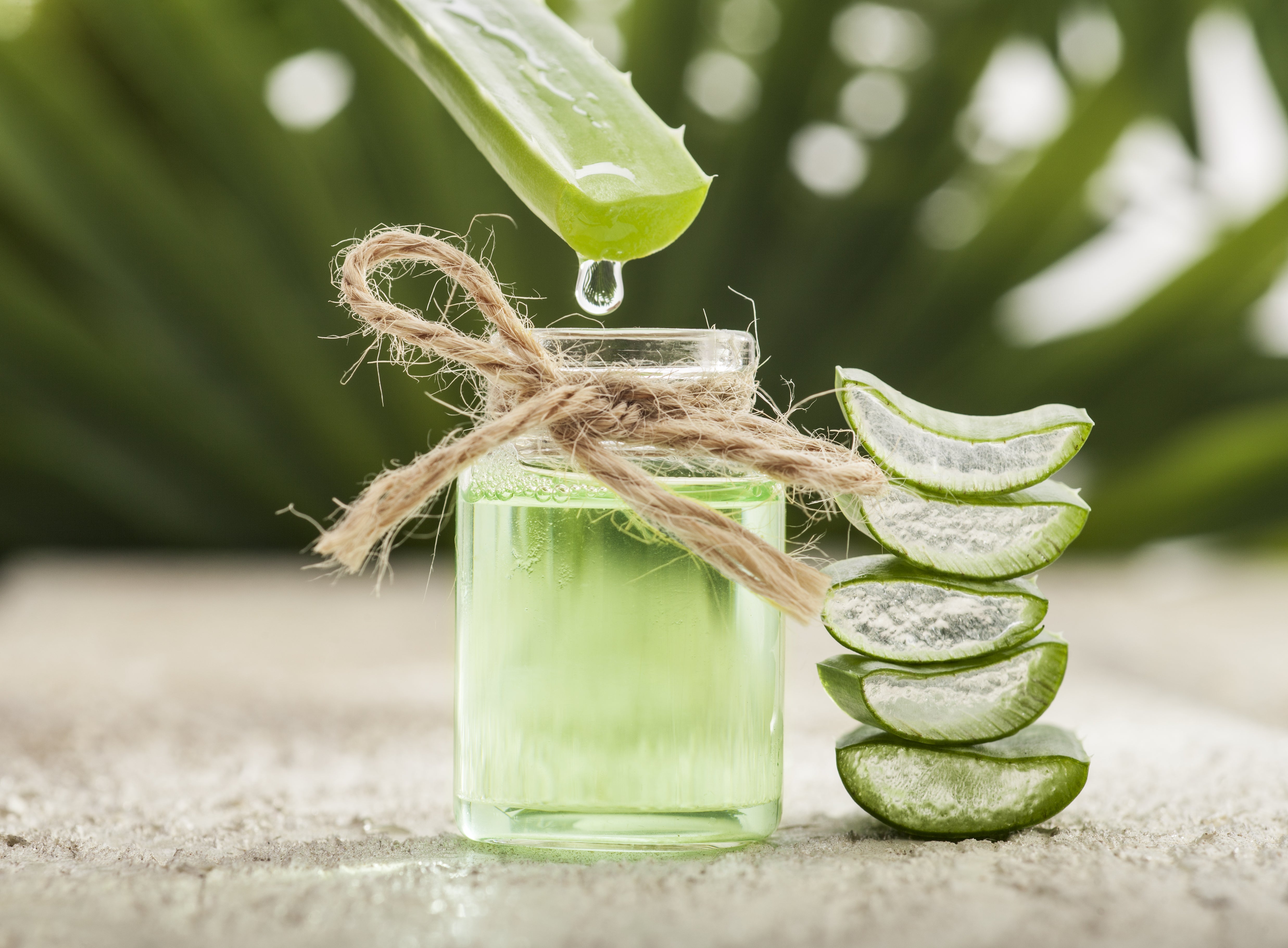 ¿Para qué sirve el aloe vera?